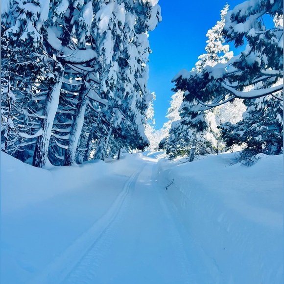 Meet your Posher, Amy - Picture 7 of 12